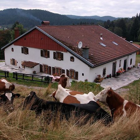 Appartement La Timoniere Gérardmer Kültér fotó