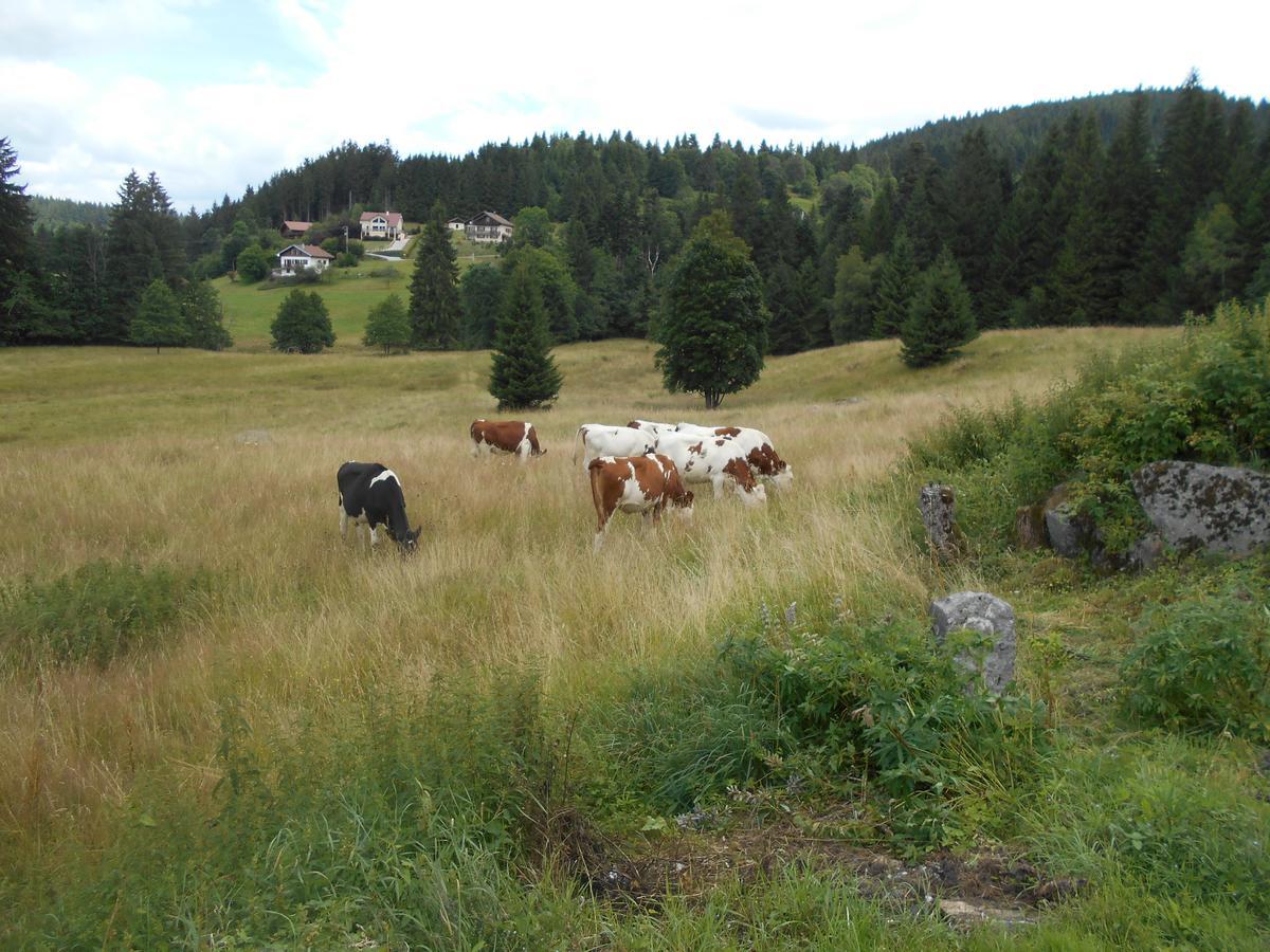 Appartement La Timoniere Gérardmer Kültér fotó