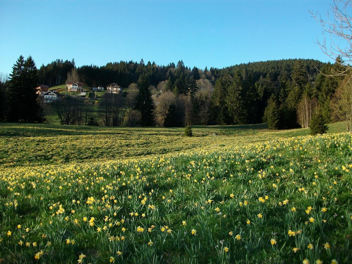 Appartement La Timoniere Gérardmer Kültér fotó