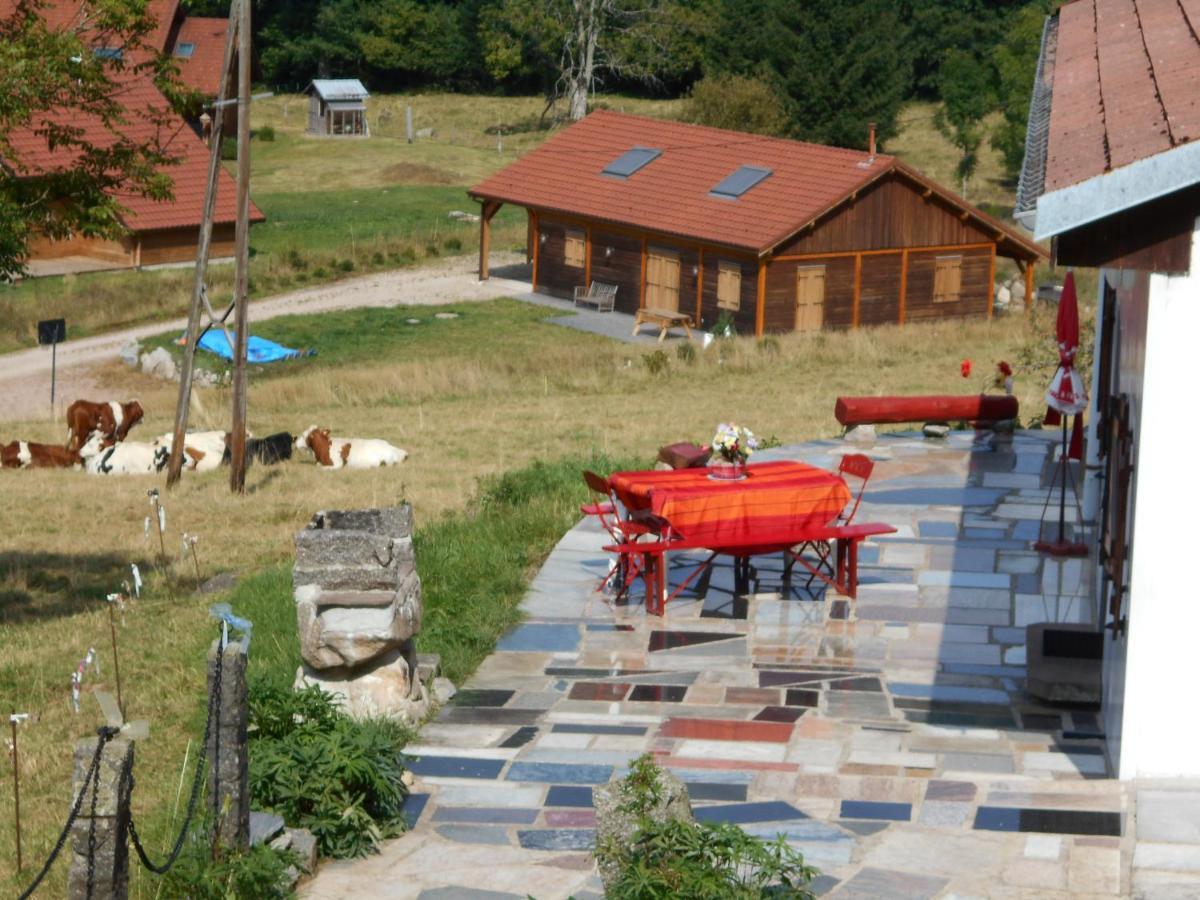 Appartement La Timoniere Gérardmer Kültér fotó